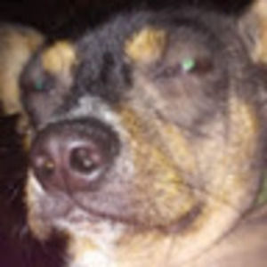 Meet your Posher, Karl